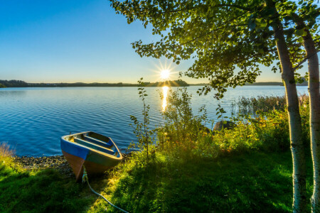 ボート, 草, 湖, 光線, 日没, 太陽, 木