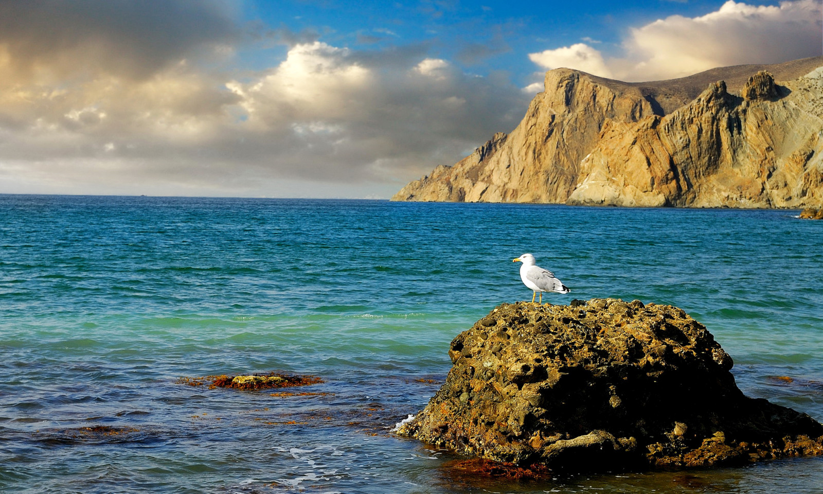 岸, 石头, 海, 岩石, 克里米亚, 海鸥