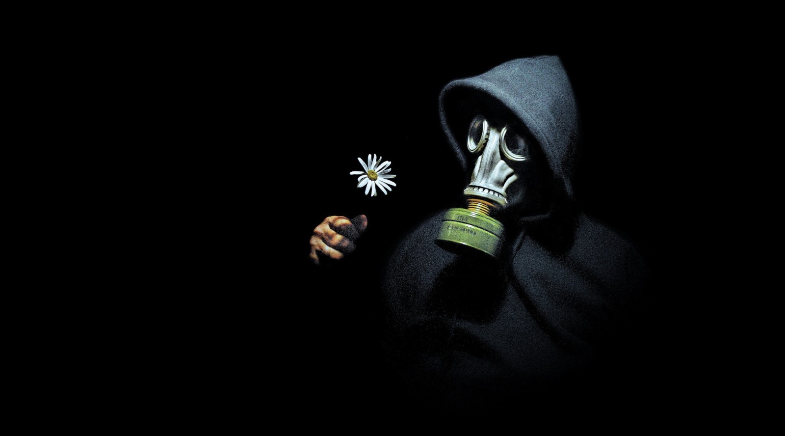 orang-orang, bunga aster, masker gas