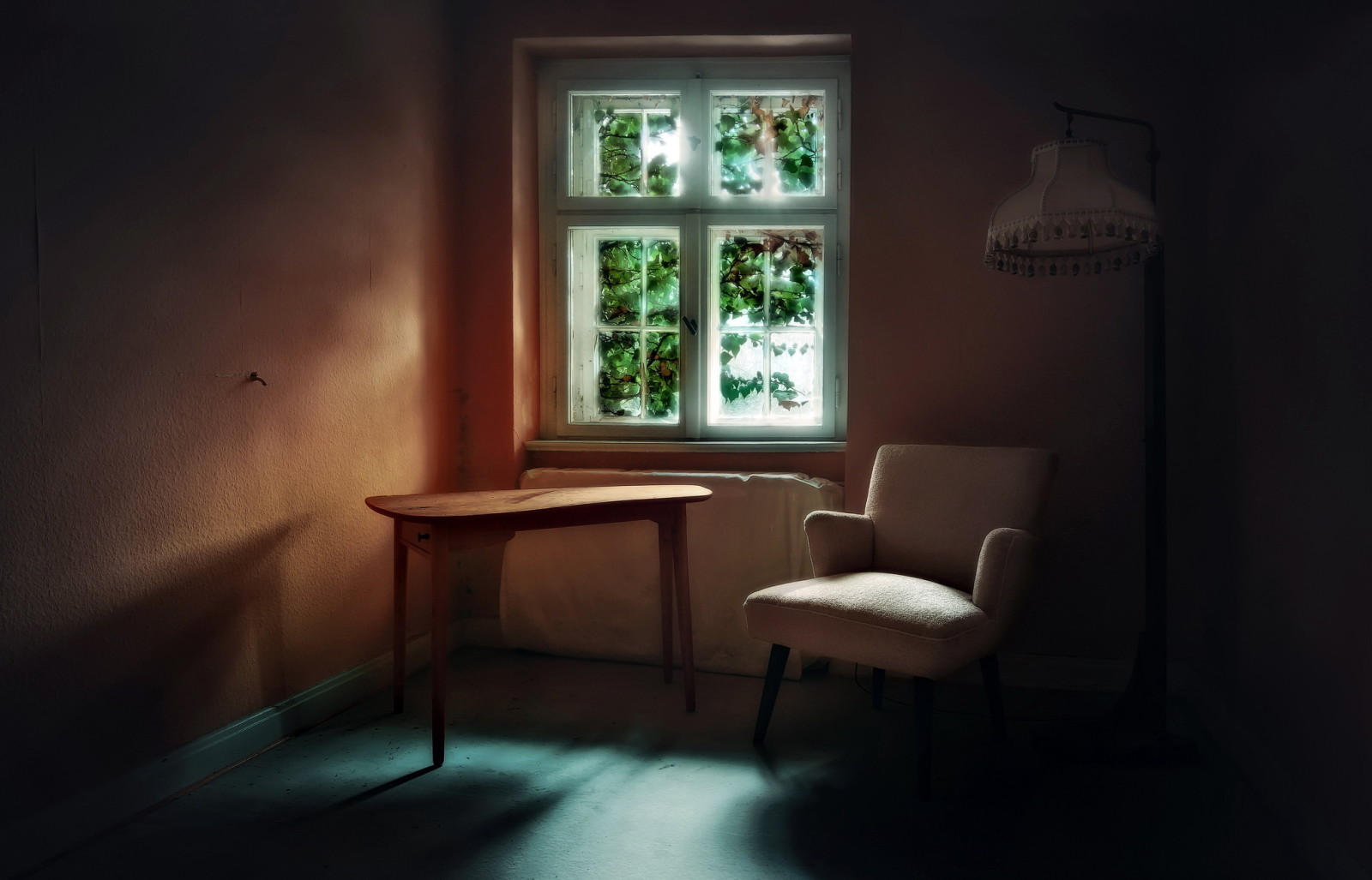 표, 창문, 의자