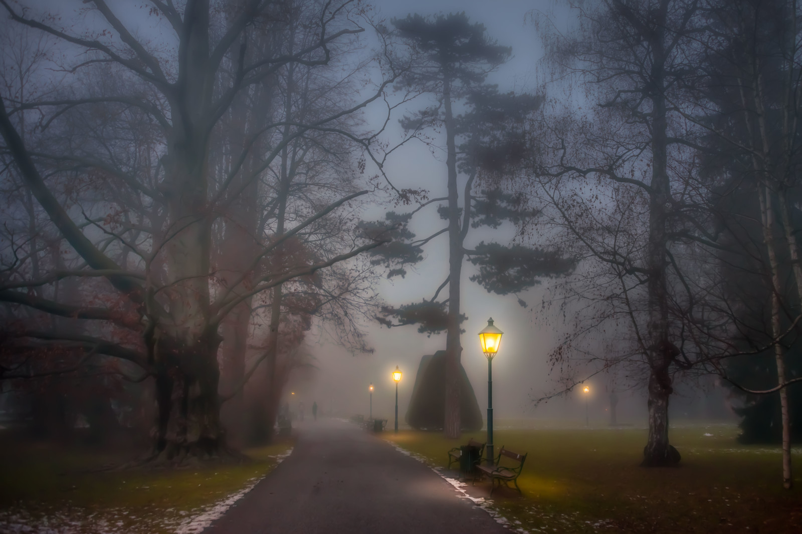công viên, cây, Mọi người, sương mù, con đường, Băng ghế, Sương mù, cột đèn
