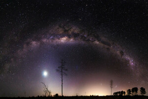 밤, 우주, 별, 은하수, 나무