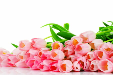 花束, フラワーズ, ピンク, チューリップ