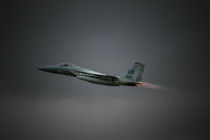 鹰, F-15C, 战斗机, 飞行