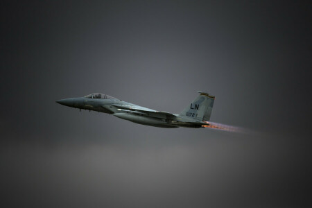 鷲, F-15C, 戦士, フライト