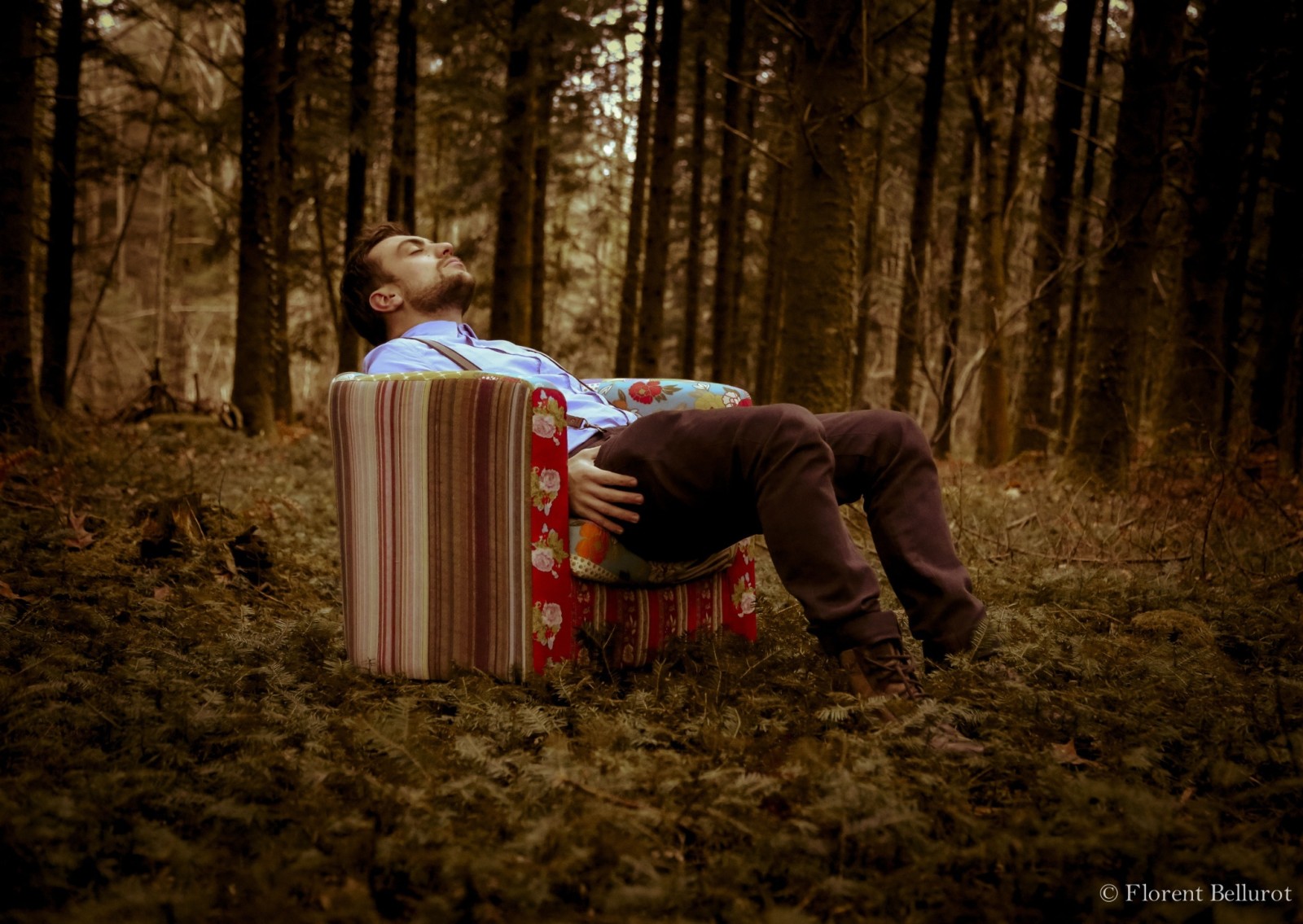 森林, 摄影家, 坐着, 醒来, 弗洛朗·贝鲁特（Florent Bellurot）, 睡着了