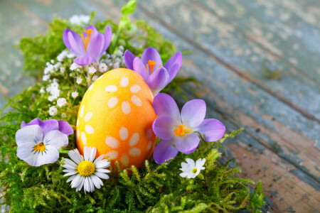 장식, 부활절, 달걀, 꽃들, 행복, 봄