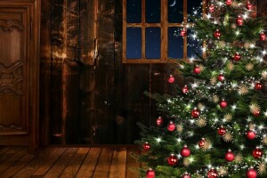 Giáng sinh, Năm mới, phòng, cây, cửa sổ