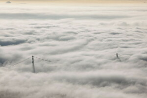 kabut, pemandangan, Jembatan Gerbang Singa, alam