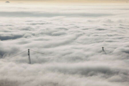 霧, 風景, ライオンズゲートブリッジ, 自然