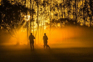 sương mù, buổi sáng, công viên, chạy, thành phố