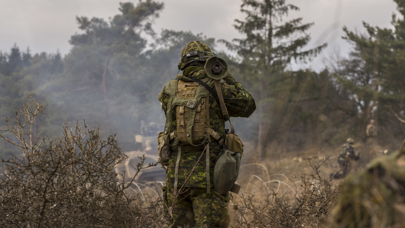 Tentara, Tentara, Angkatan Bersenjata Kanada