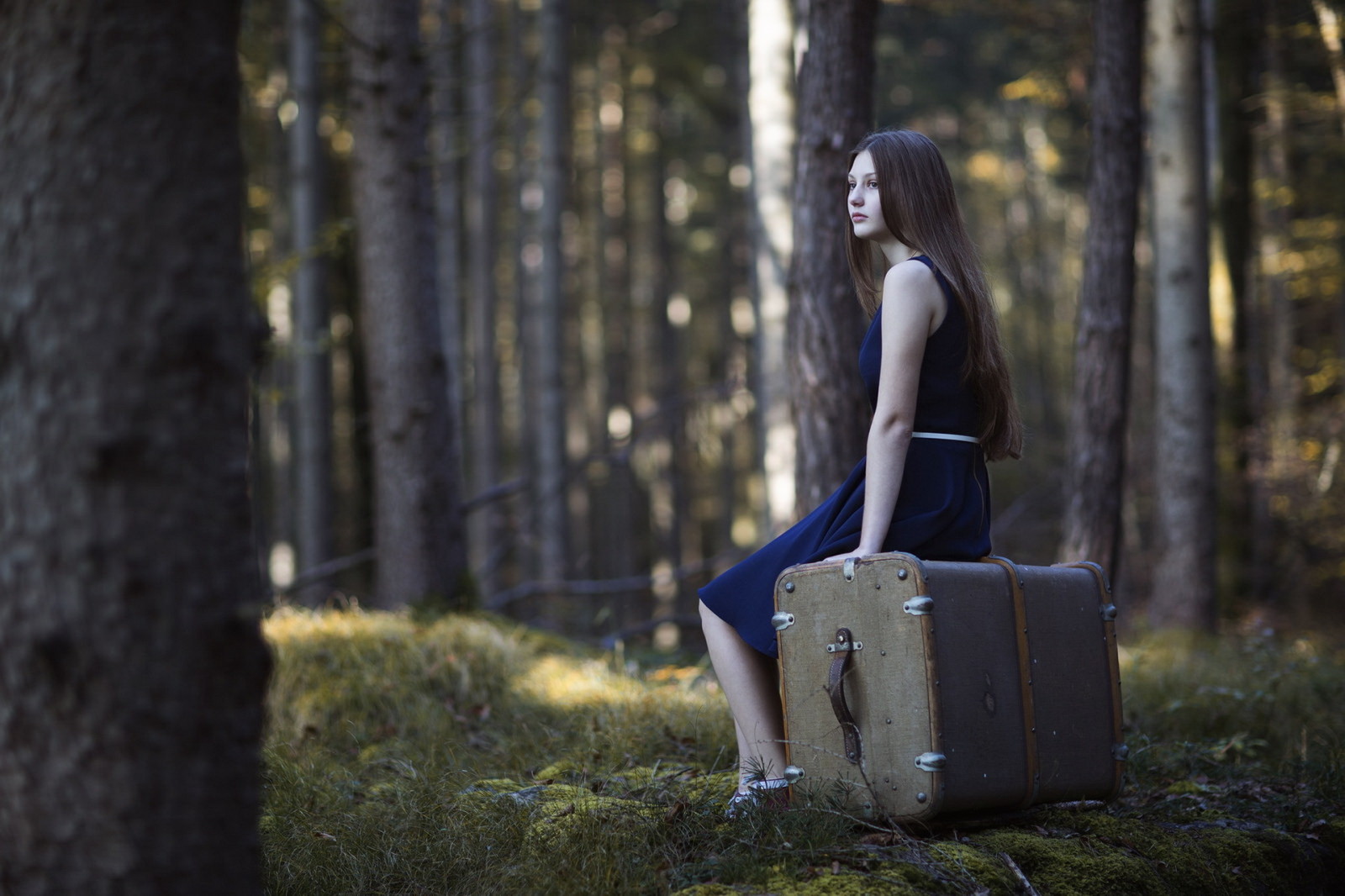 숲, 소녀, 여행 가방