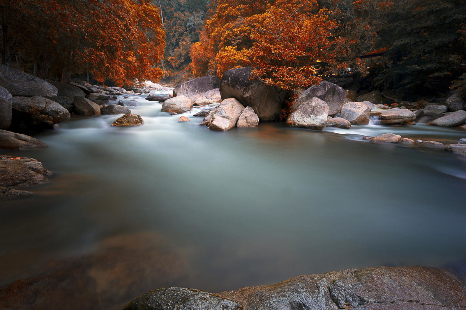 가을, 숲, 자연, 강, 돌