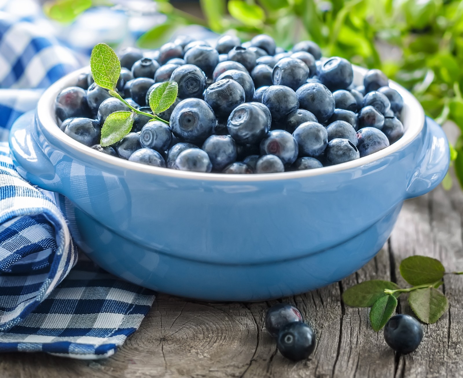树叶, 餐巾, 蓝莓, 碗, 新鲜浆果
