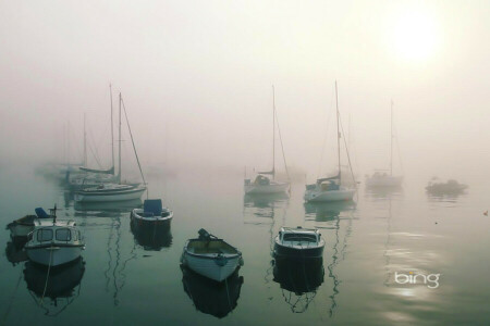 湾, ボート, 落ち着いた, 霧, 港, 光, 海