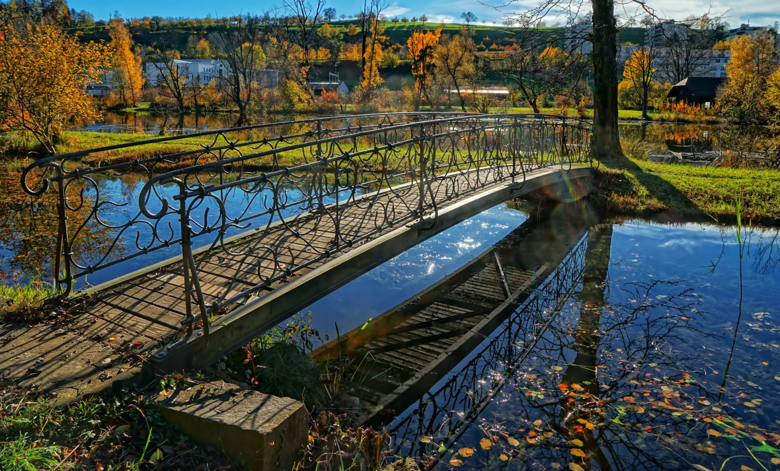 秋季, 公园, 瑞士, 流, 桥