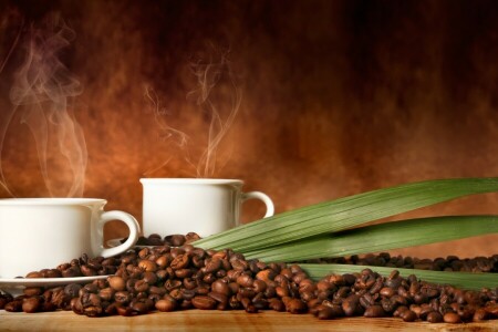 커피, 커피 콩, 컵, 연기