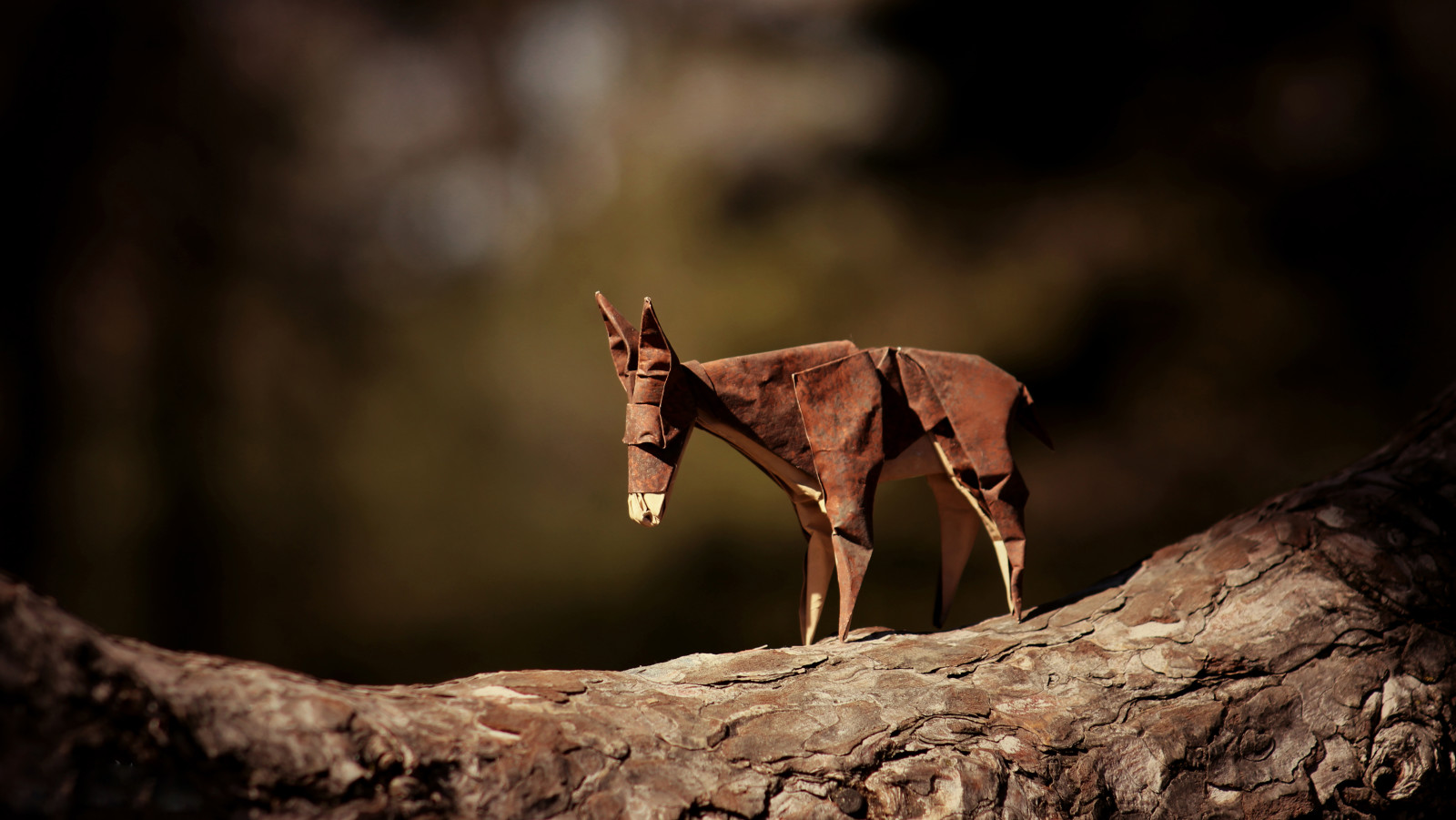 cokelat, cabang, origami, keledai, keledai perjalanan, keledai coklat