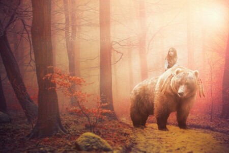 공상, 숲, 소녀. 곰, 그 상황