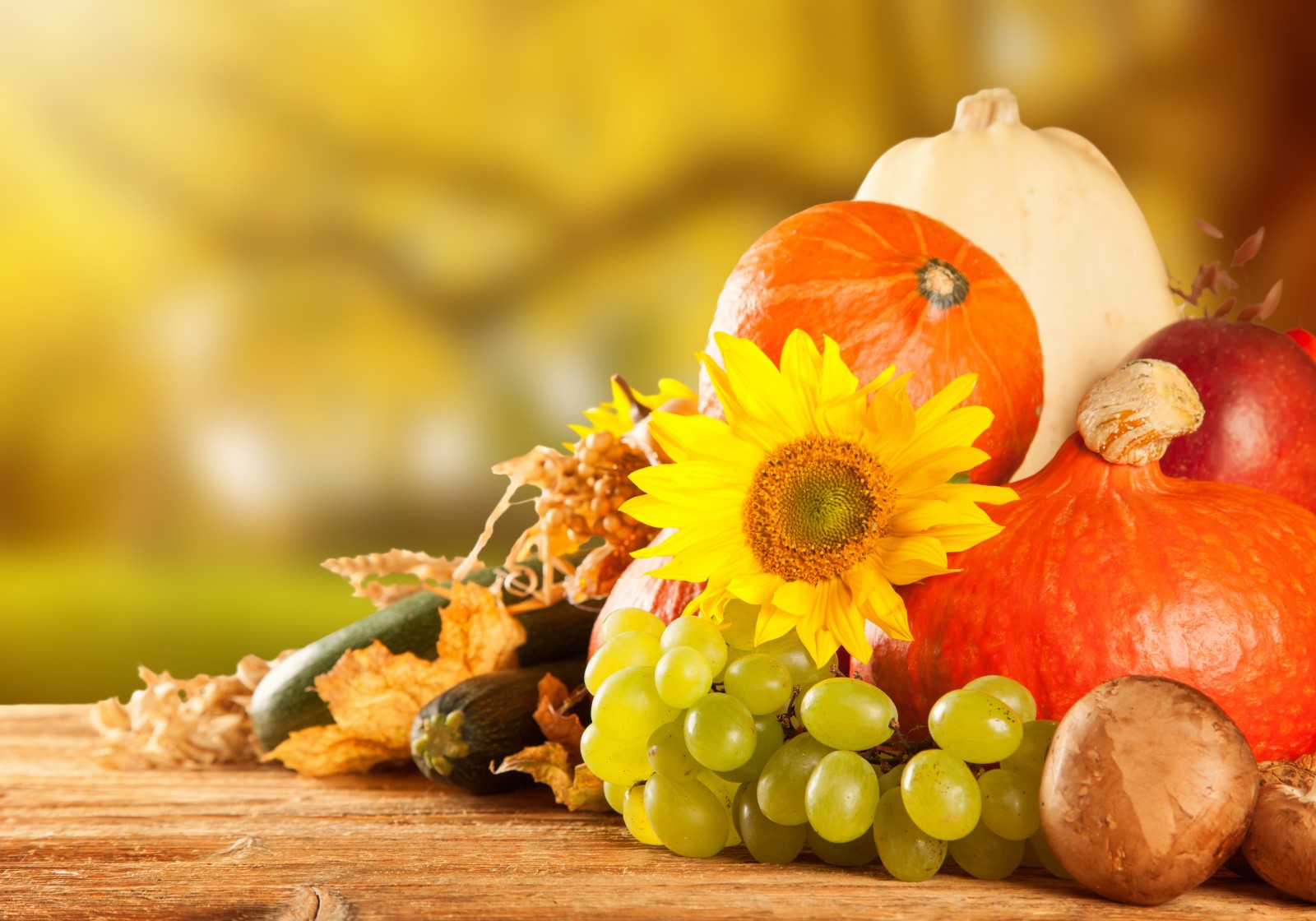 가을, 버섯, 야채, 사과, 호박, 추수, 과일, 포도