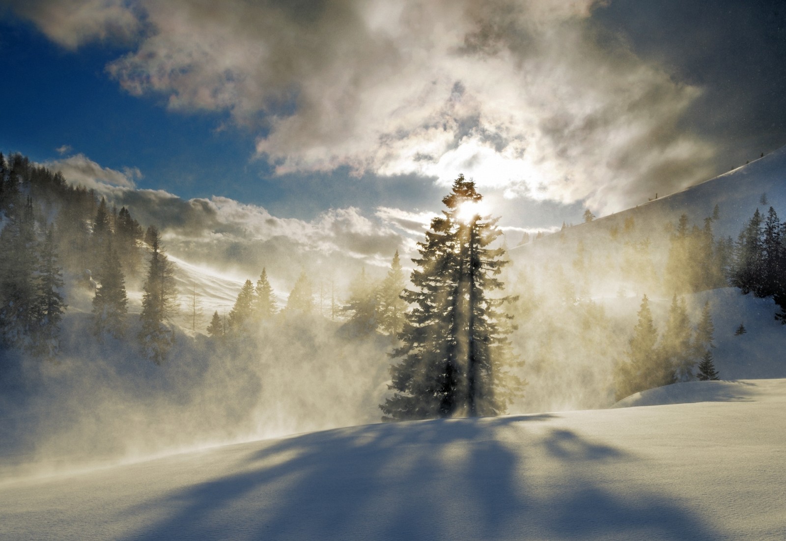 雪, 木, 森林, 冬, 山, 霧, 太陽