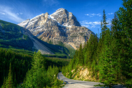 푸른, 캐나다, 숲, 푸성귀, 산, 도로, 바위, 하늘