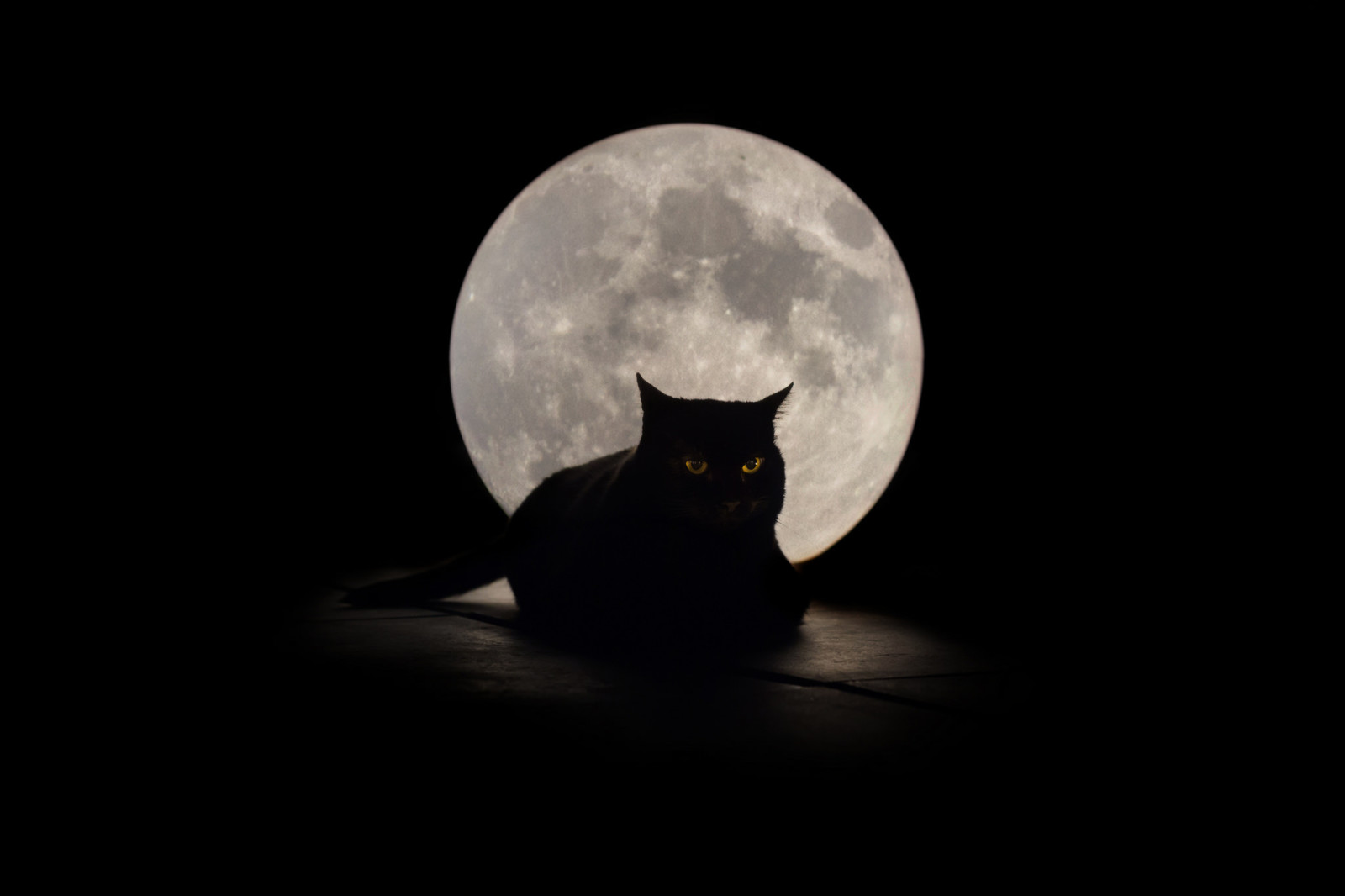 背景, 猫, 月亮, 眼睛