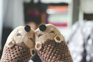 ハリネズミ, 編み物, 鼻, 靴下