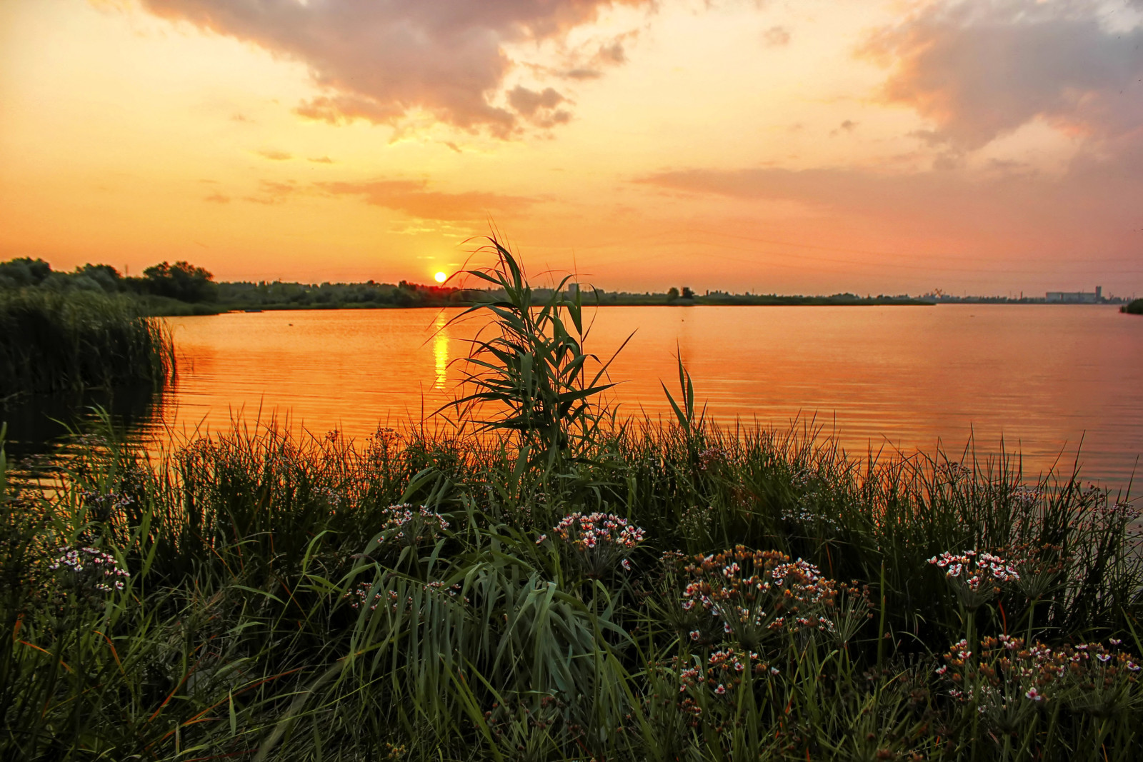 rumput, sungai, matahari terbenam, pantai, bunga-bunga, Rusia, Ural