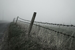 多雾路段, 景观, 早上, 路, 栅栏