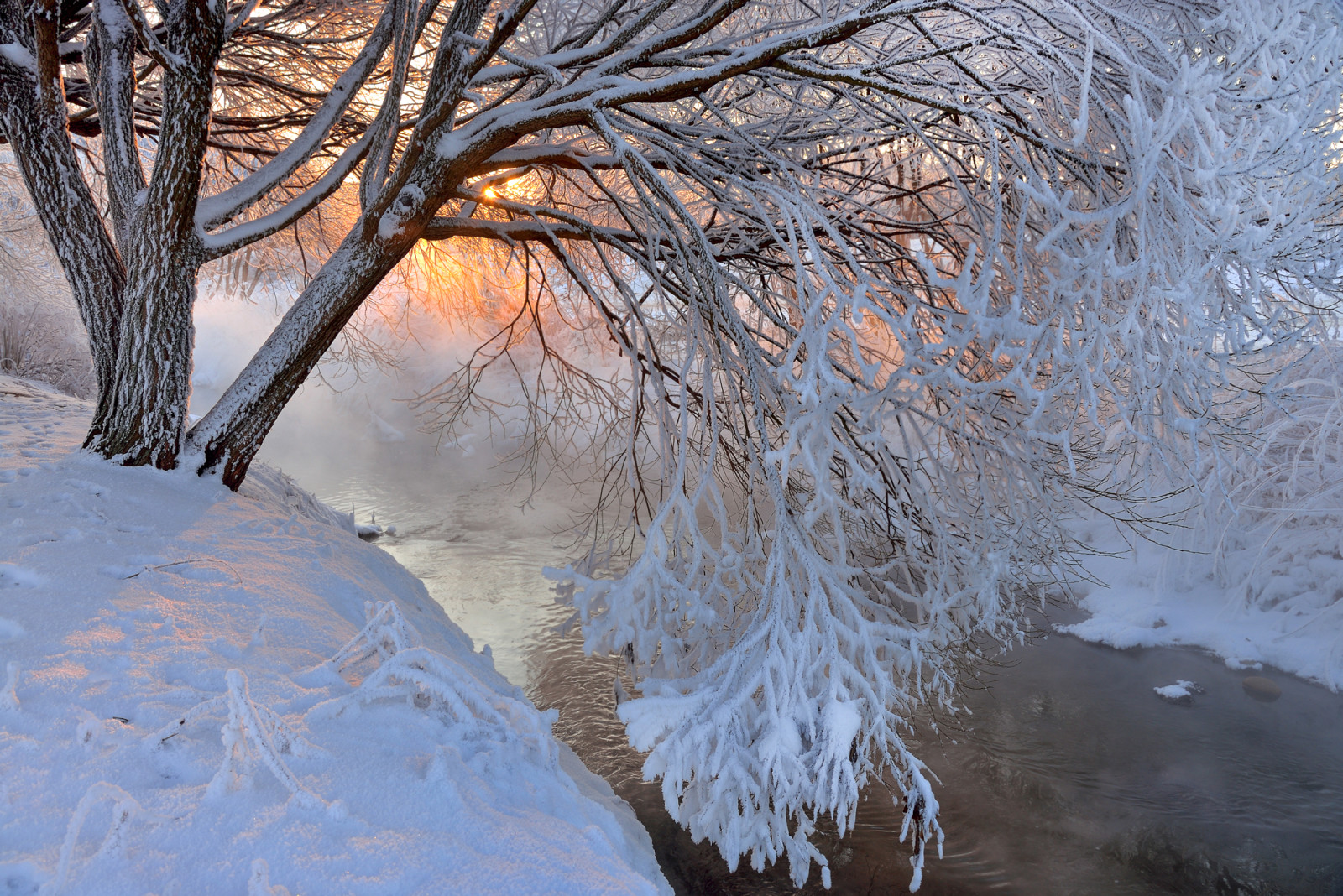 雪, 自然, 河, 日落, 冬季, 景观, 树木, 山脉