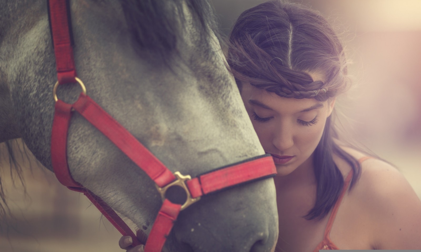 อารมณ์, ใบหน้า, ม้า, แบบ, Arancha Ari Arevalo