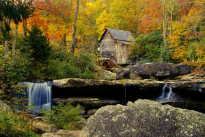秋季, 森林, 磨, 岩石, 石头, 树木