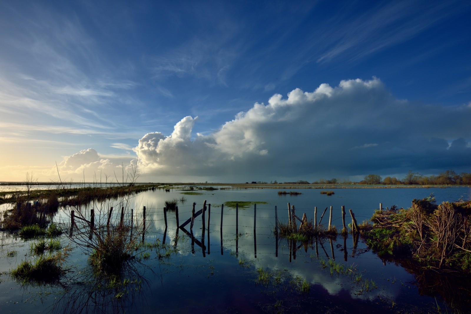 rumput, danau, refleksi, awan, kawat