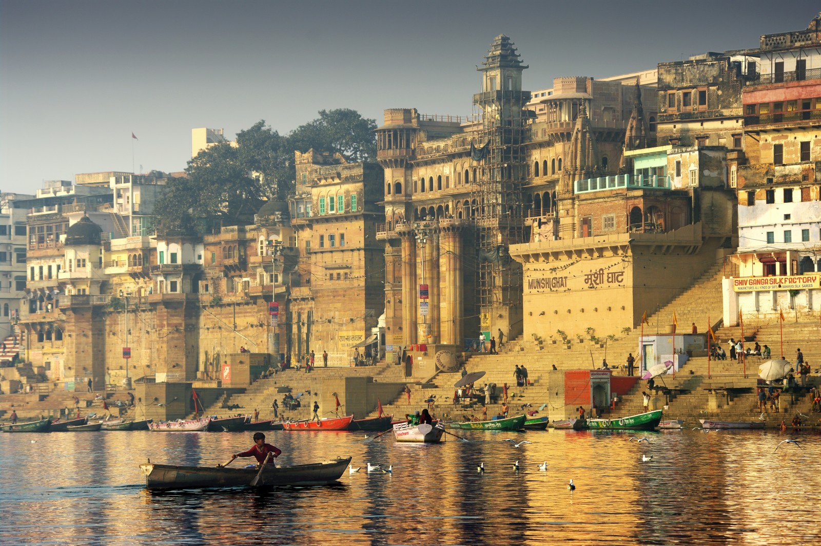 thành phố, thuyền, hải âu, Ấn Độ