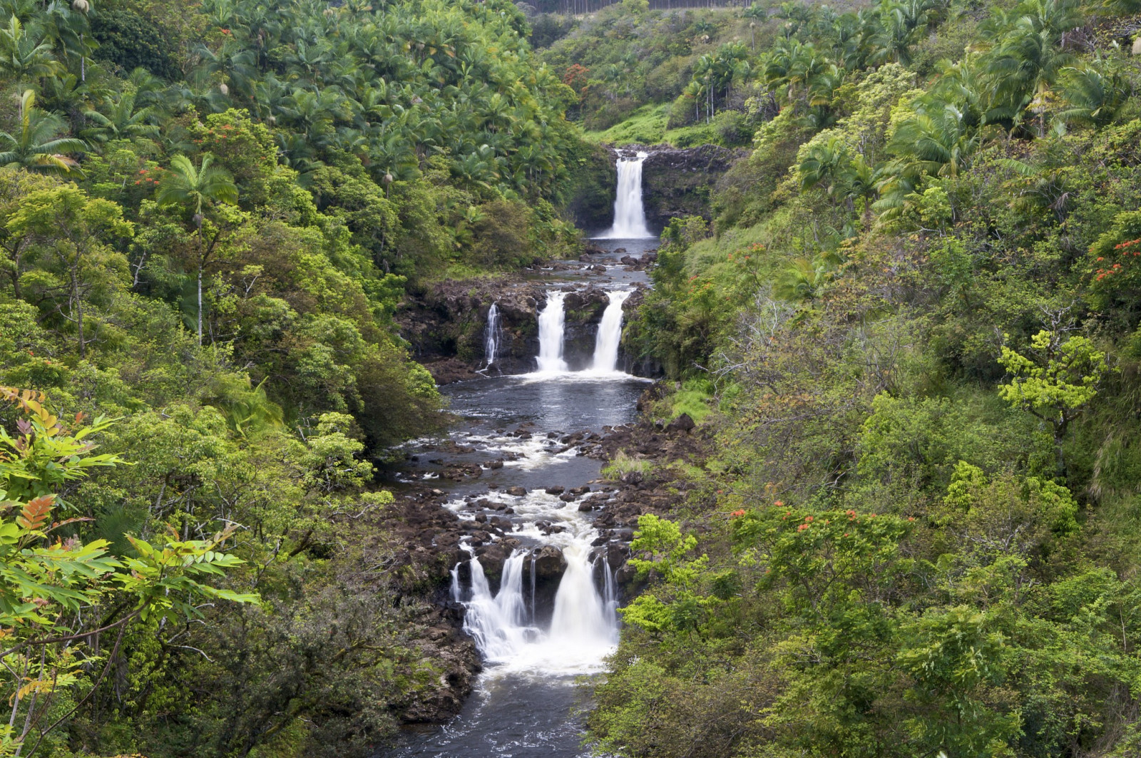 森林, 河, 瀑布, 级联, 夏威夷