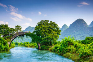 BEAUTY, สะพาน, ประเทศจีน, ป่า, ผักใบเขียว, ภูเขา, แม่น้ำ, พุ่มไม้