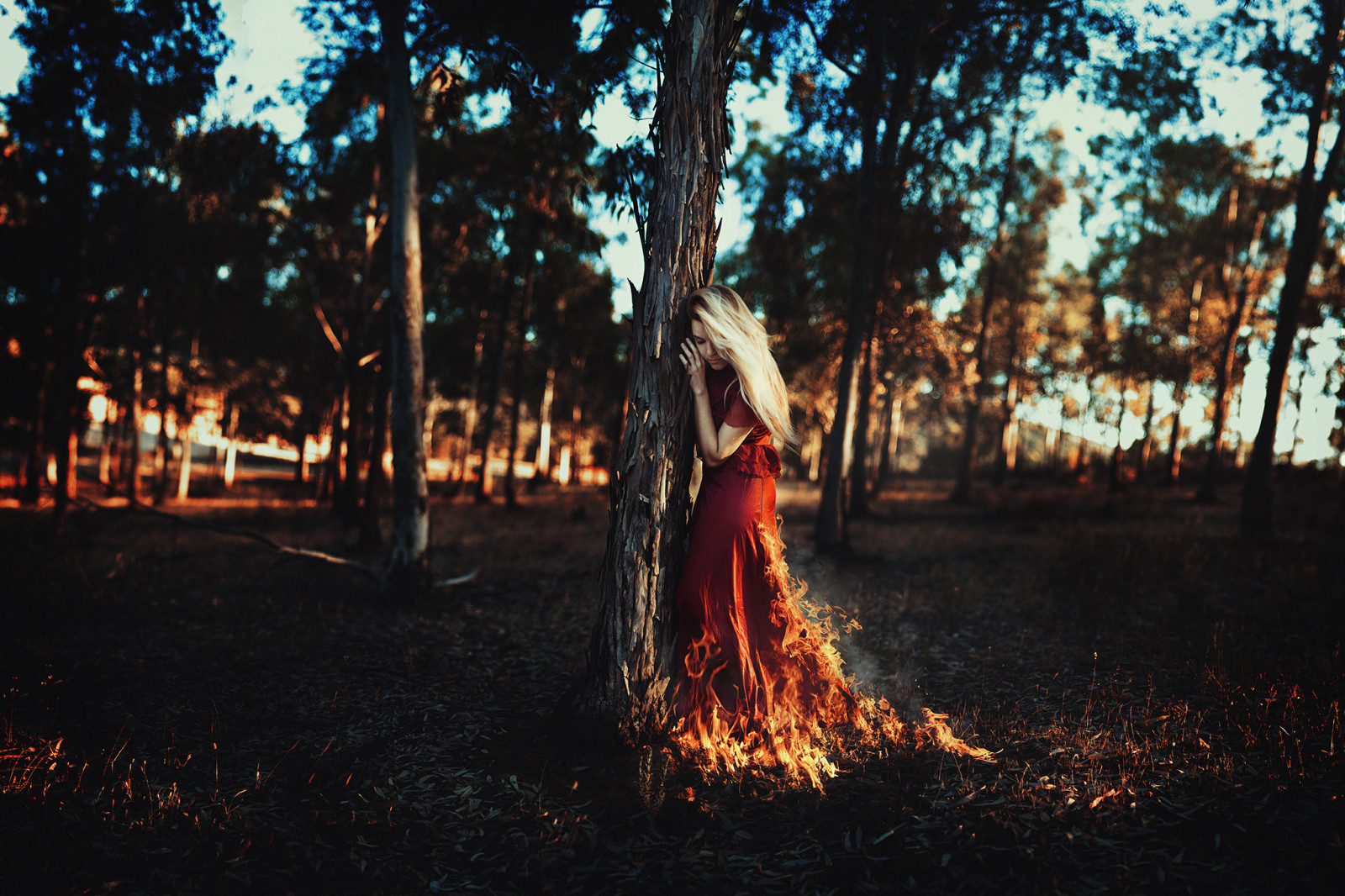 가지, 소녀, 나무, 이파리, 머리, 불, 태양, 빨간 드레스
