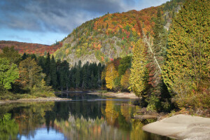 가을, 캐나다, 숲, 산, 온타리오, 강, 나무