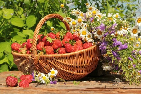 바구니, 종, 알, 카밀레, 꽃들, 푸성귀, 딸기, 여름