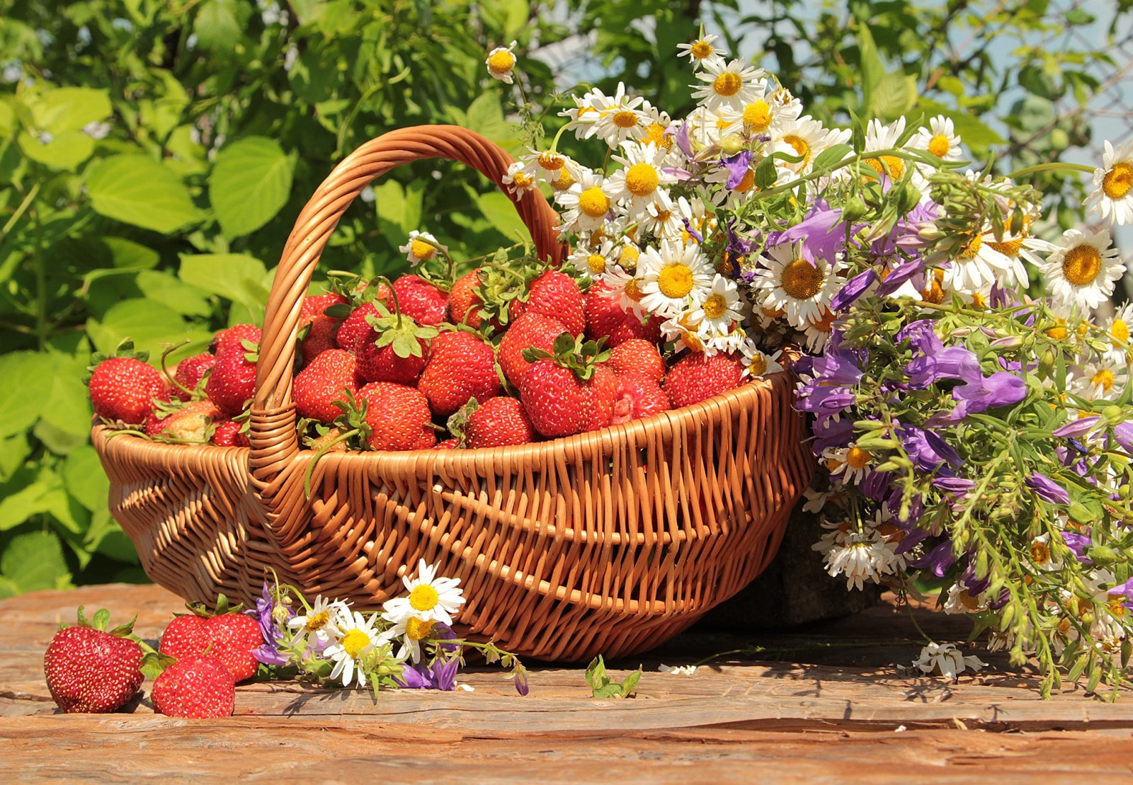 夏季, 青菜, 花卉, 钟声, 太阳, 草莓, 洋甘菊, 篮