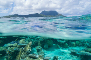 Bora Bora, karang, Polinesia Perancis, Kepulauan Leeward, laut, Samudera Pasifik