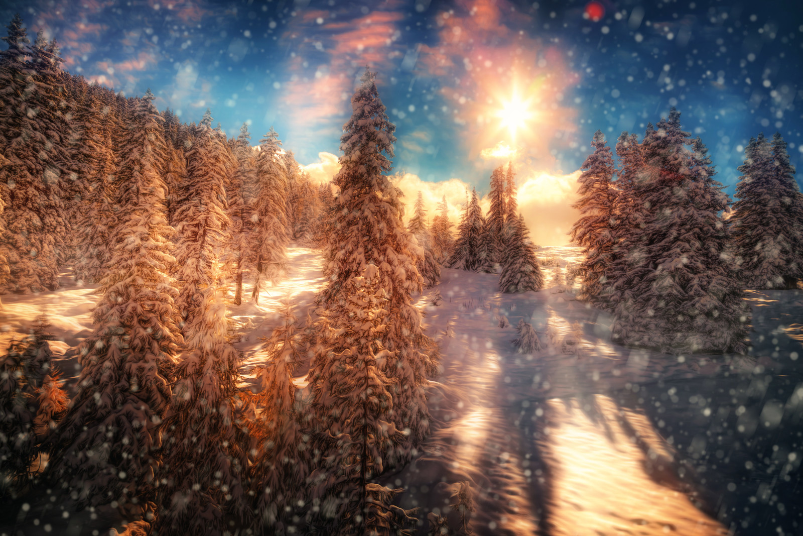 눈, 숲, 나무, 태양, 치료, 불과 얼음