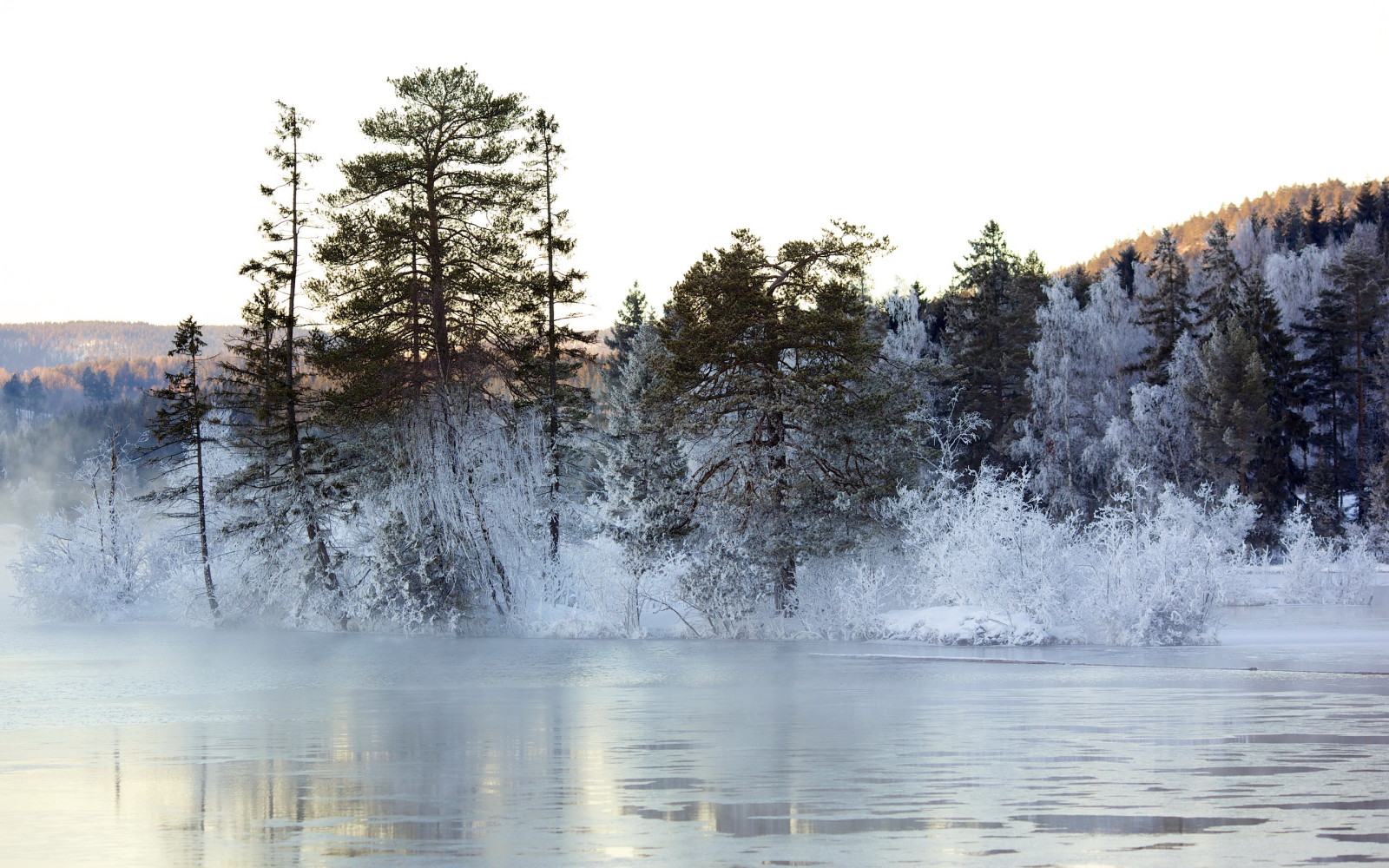 hồ, mùa đông, phong cảnh