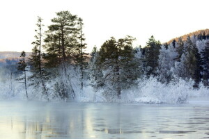 湖, 風景, 冬
