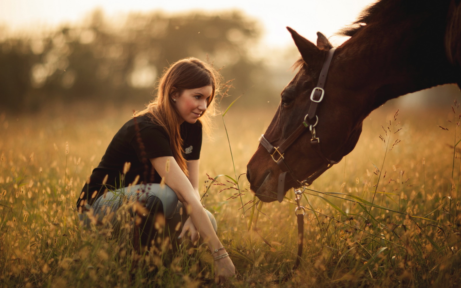 con gái, con ngựa, cánh đồng