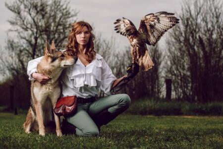 鳥, 犬, 女の子