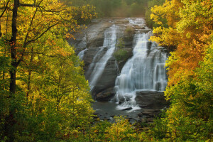 秋, デュポン州立森林公園, 森林, ハイフォールズ, ノースカロライナ州, 木, 滝