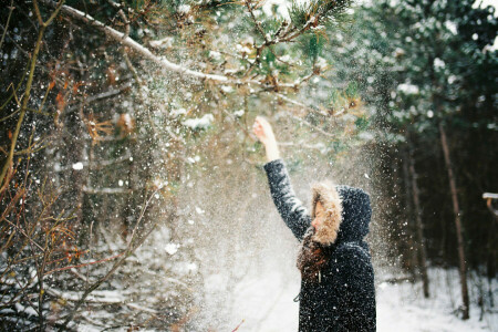 枝, 落ちる, 女の子, フード, ジャケット, 雪, 冬
